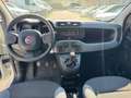 Fiat Panda 1.2 Easy (AUTOCARRO N1 4 POSTI) Blanco - thumbnail 8