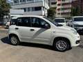 Fiat Panda 1.2 Easy (AUTOCARRO N1 4 POSTI) Blanco - thumbnail 5