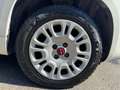 Fiat Panda 1.2 Easy (AUTOCARRO N1 4 POSTI) Blanco - thumbnail 14