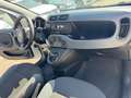 Fiat Panda 1.2 Easy (AUTOCARRO N1 4 POSTI) Blanco - thumbnail 10