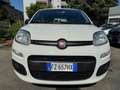 Fiat Panda 1.2 Easy (AUTOCARRO N1 4 POSTI) Blanco - thumbnail 3
