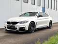 BMW 440 i Coupe M-Performance xDrive/HUD/H&K/360/R19 Weiß - thumbnail 3