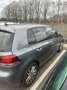 Volkswagen Golf Golf 1.6 TDI 105 FAP CRCarat Gris - thumbnail 2