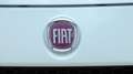 Fiat Punto Easy 1. Besitz Weiß - thumbnail 36
