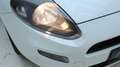 Fiat Punto Easy 1. Besitz Weiß - thumbnail 35
