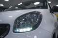 smart forTwo Fortwo Cabrio ed Weiß - thumbnail 9