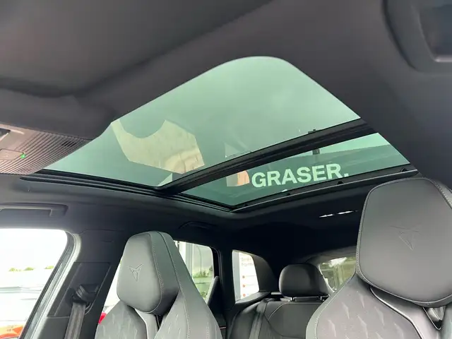 Cupra Terramar view 14