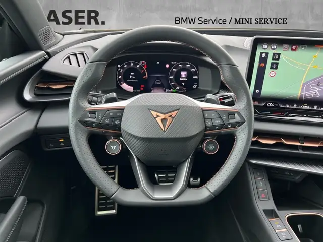 Cupra Terramar view 10