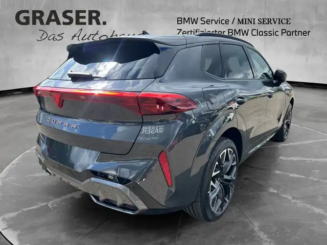 Cupra Terramar view 6