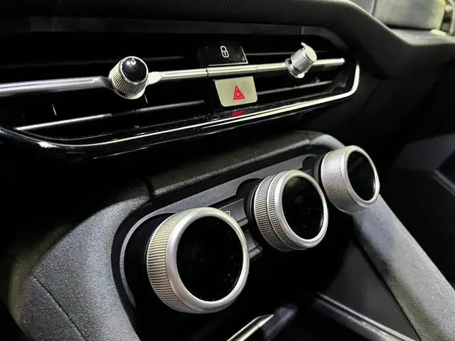 Skoda Kodiaq view 9