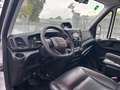 Iveco Daily 35C160 DOPPIA CABINA RIBALTABILE Wit - thumbnail 12
