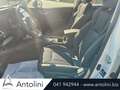 Subaru Forester 2.0 e-Boxer MHEV CVT Lineartronic Free Bianco - thumbnail 9