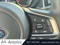 Subaru Forester 2.0 e-Boxer MHEV CVT Lineartronic Free Blanc - thumbnail 20