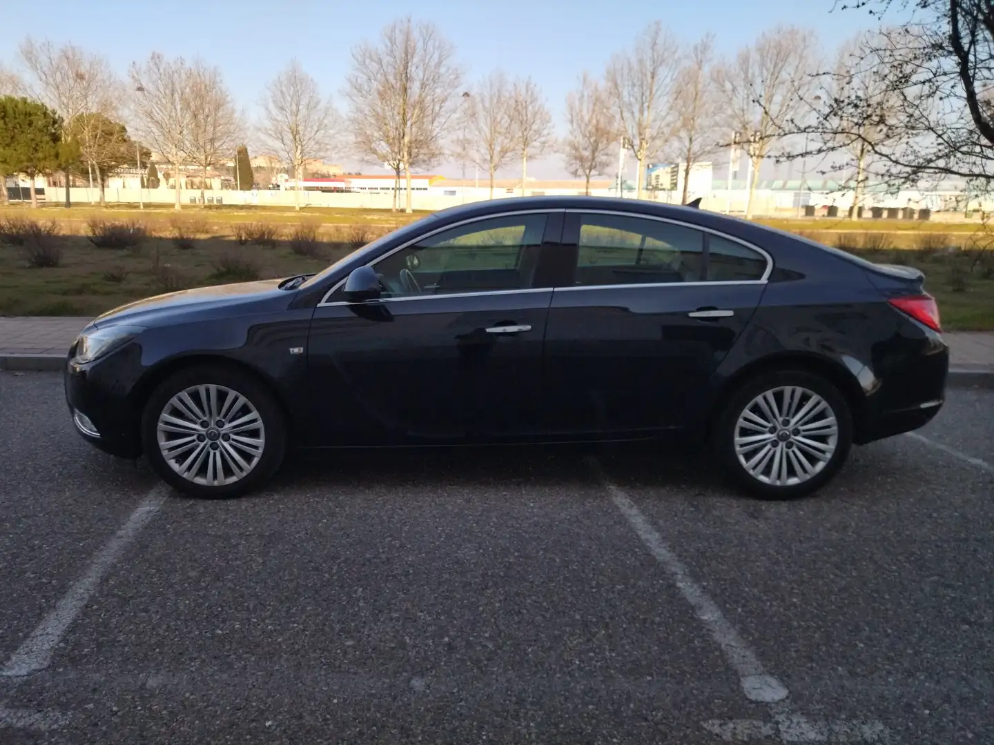 Opel Insignia Insignia 2.0CDTI Excellence S Negro - 2