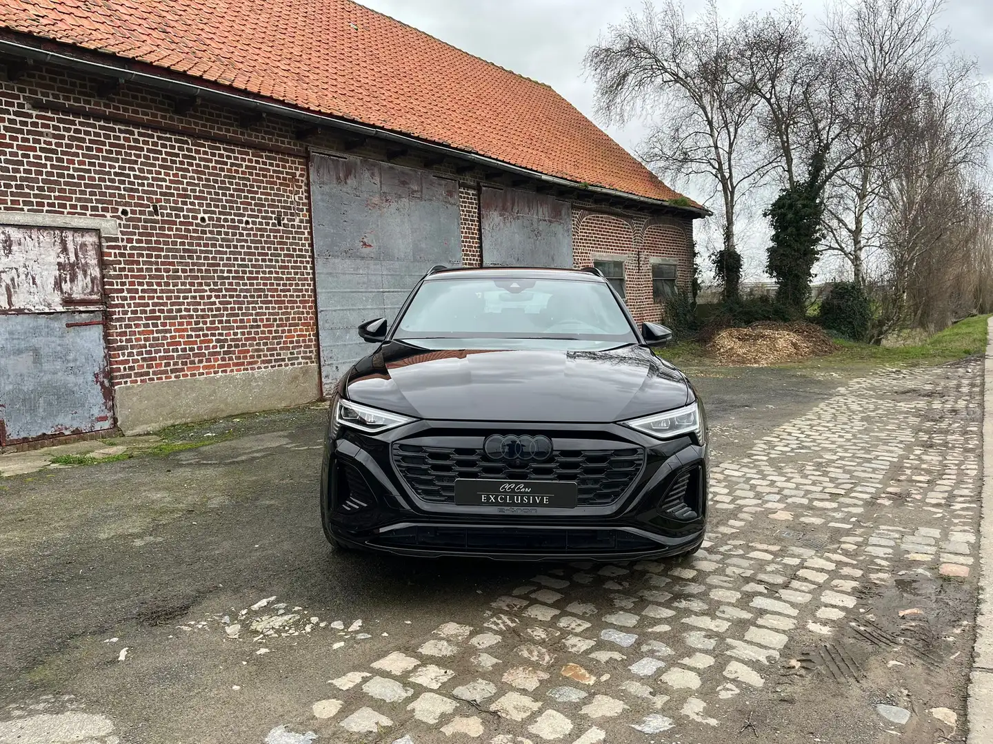 Audi Q8 e-tron 50 quattro S line | Pack Assistance Plus | Head-Up Schwarz - 2