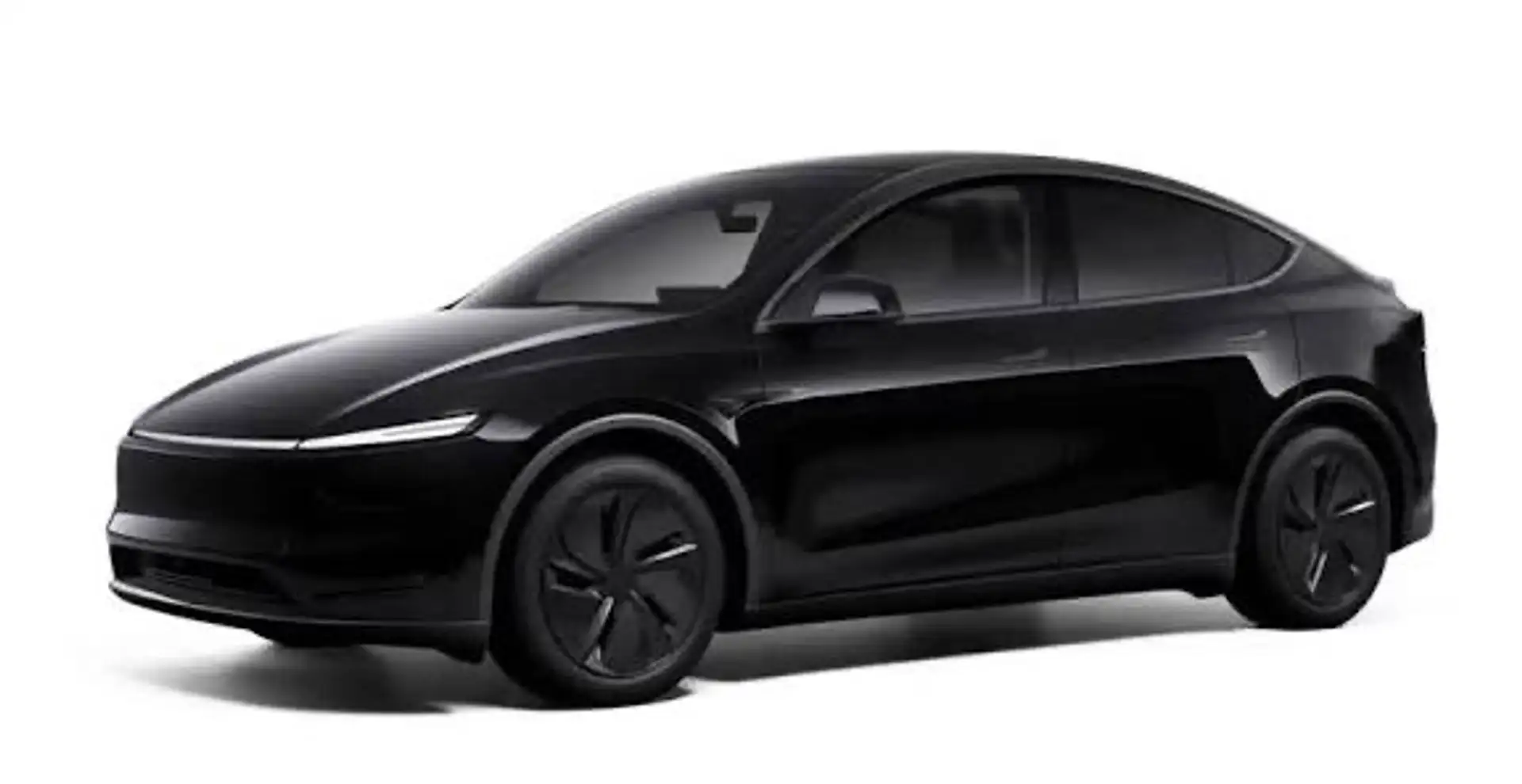Tesla Model Y Long Range Dual AWD Noir - 1