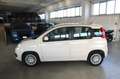 Fiat Panda 1.3 MJT 95 CV S&S Easy Beige - thumbnail 3
