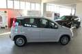 Fiat Panda 1.3 MJT 95 CV S&S Easy Beige - thumbnail 6
