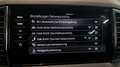 Skoda Karoq Style 4x4 TDI DSG 360° CAM, ACC, Navi Grau - thumbnail 13
