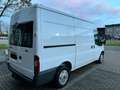 Ford Transit Ford transit 2011 Euro 4 TÜV Neue 2.2 Diesel TDCI Weiß - thumbnail 12