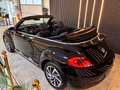Volkswagen Beetle Cabriolet Design BMT/Start-Stopp Schwarz - thumbnail 16