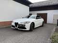 Alfa Romeo Giulia Q4 2,2 VELOCE *MEGAOPTIK*1.Bsz*Carbon*19Z*RfK*ACC* Weiß - thumbnail 2