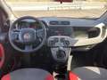 Fiat Panda 0.9 t.air natural power Easy 85cv Rosso - thumbnail 10