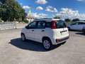 Fiat Panda 0.9 t.air natural power Easy 85cv Rosso - thumbnail 3