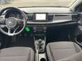 Kia Rio Dream Team AWR Grün - thumbnail 19