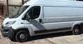 Fiat Ducato Ducato L4H2 teilverglast  (2014 - 2019) Weiß - thumbnail 1