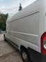 Fiat Ducato Ducato L4H2 teilverglast  (2014 - 2019) Weiß - thumbnail 2