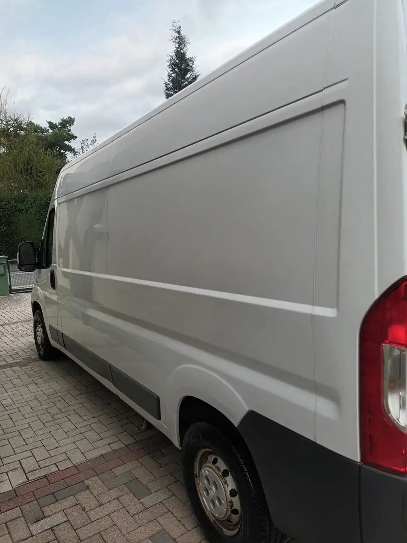 Fiat Ducato Ducato L4H2 teilverglast  (2014 - 2019) Weiß - 2