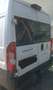 Fiat Ducato Ducato L4H2 teilverglast  (2014 - 2019) Weiß - thumbnail 8