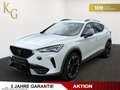 CUPRA Formentor 1.5 TSI ab ca. 204€ monatlich Weiß - thumbnail 1