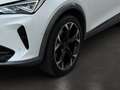 CUPRA Formentor 1.5 TSI ab ca. 204€ monatlich Weiß - thumbnail 13