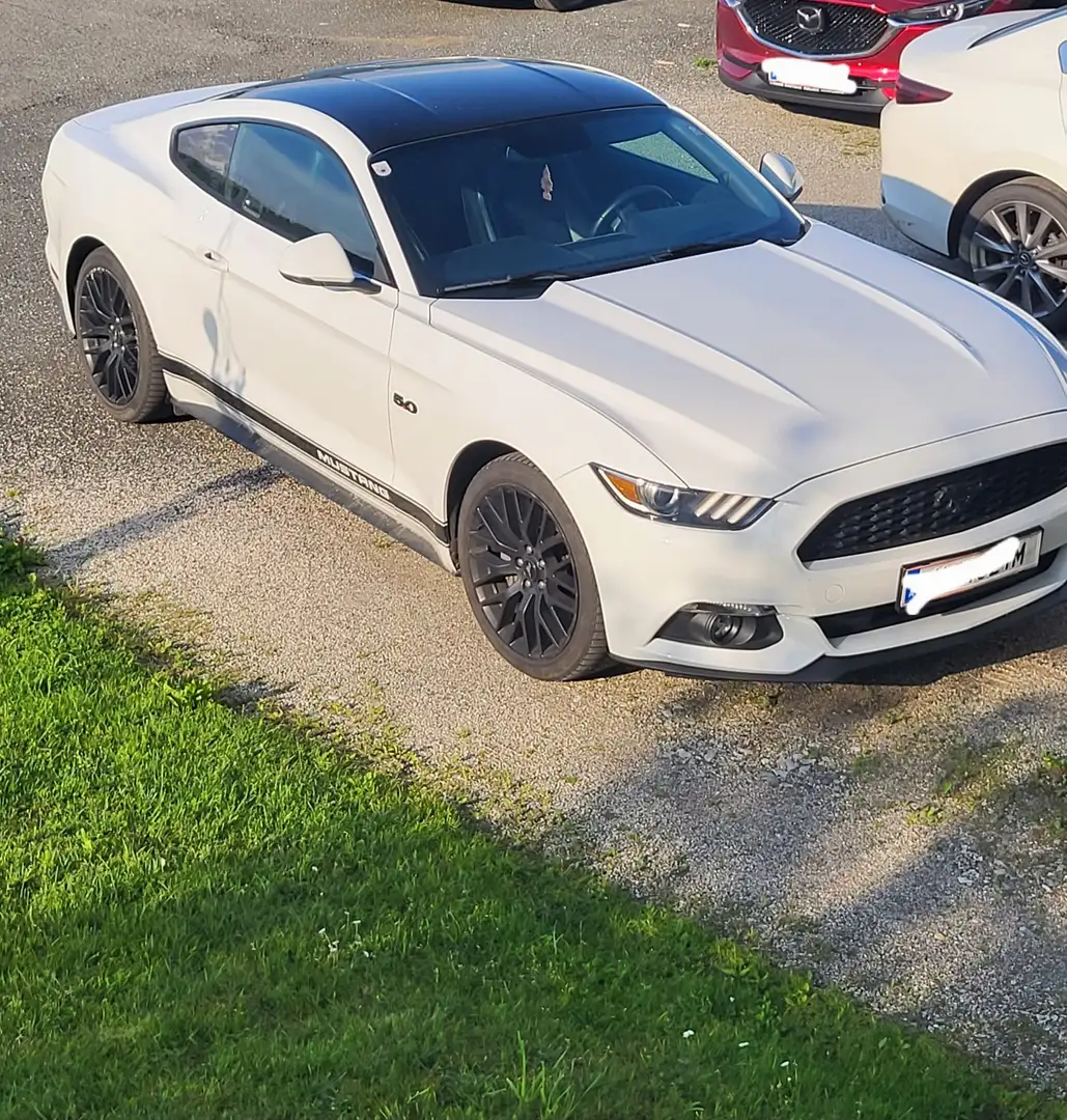 Ford Mustang 2,3 EcoBoost - 2