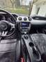 Ford Mustang 2,3 EcoBoost - thumbnail 12