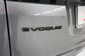 Land Rover Range Rover Evoque 1.5 I3 160 CV Auto R-Dynamic Uniprop. Certificato Grau - thumbnail 30