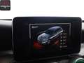 Mercedes-Benz C 250 C 250 T AMG NIGHT AIRMATIC KEYLESS,COMAND,DISTRO Schwarz - thumbnail 21