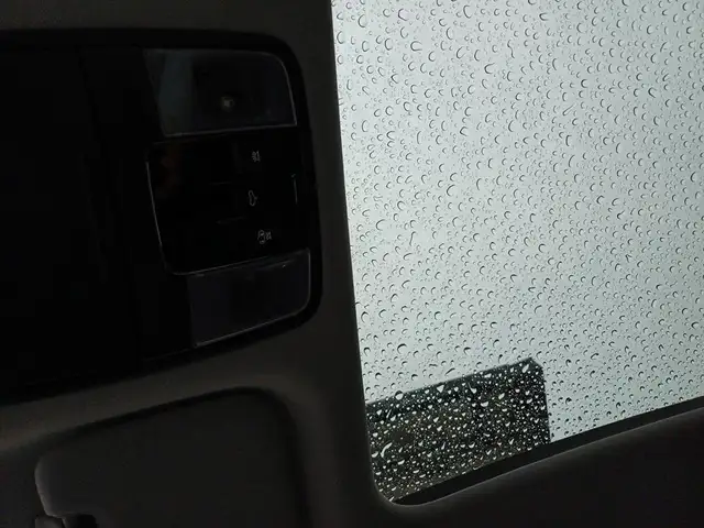 Kia Xceed view 14