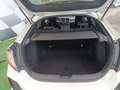 Honda Civic 1.5 VTEC Turbo Sport Blanco - thumbnail 14