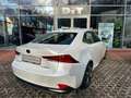 Lexus IS 300 h Luxury Line Klima Kamera Sitzheizung White - thumbnail 8