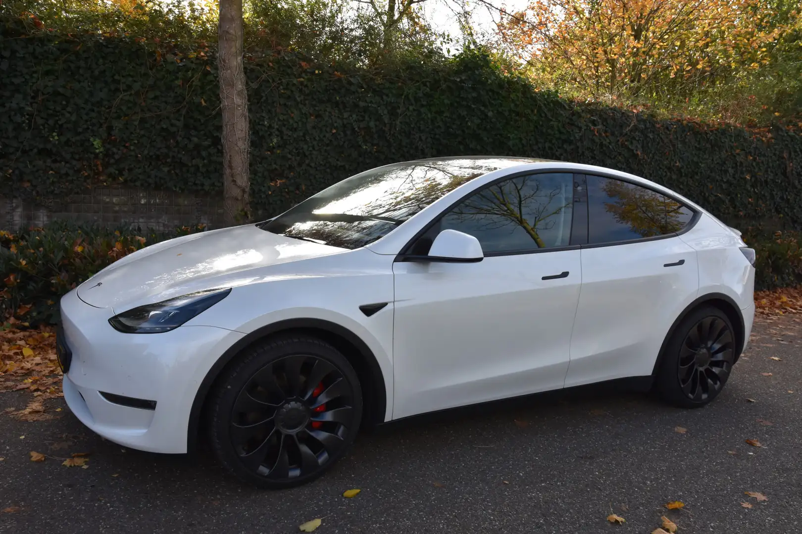 Tesla Model Y Performance AWD 75 kWh |SOH93% | AUTOPILOT | 462PK Wit - 2