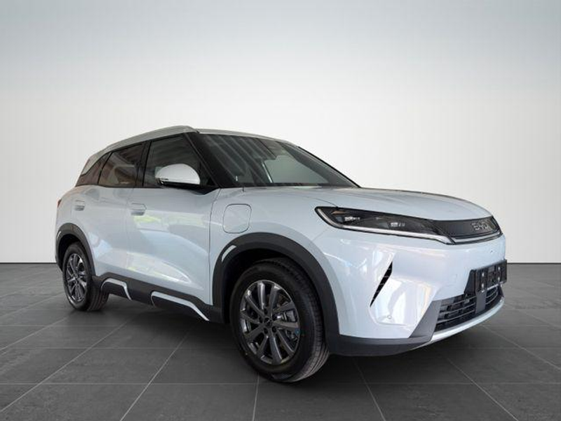 BYD Atto 2 DM-i Boost /PANO/SHZ/SOFORT 156 kW (212 PS), Au... — photo 2