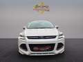 Ford Kuga 2.0 TDCi  Individual Automatik*AHK*NAVI*XE* Bianco - thumbnail 8