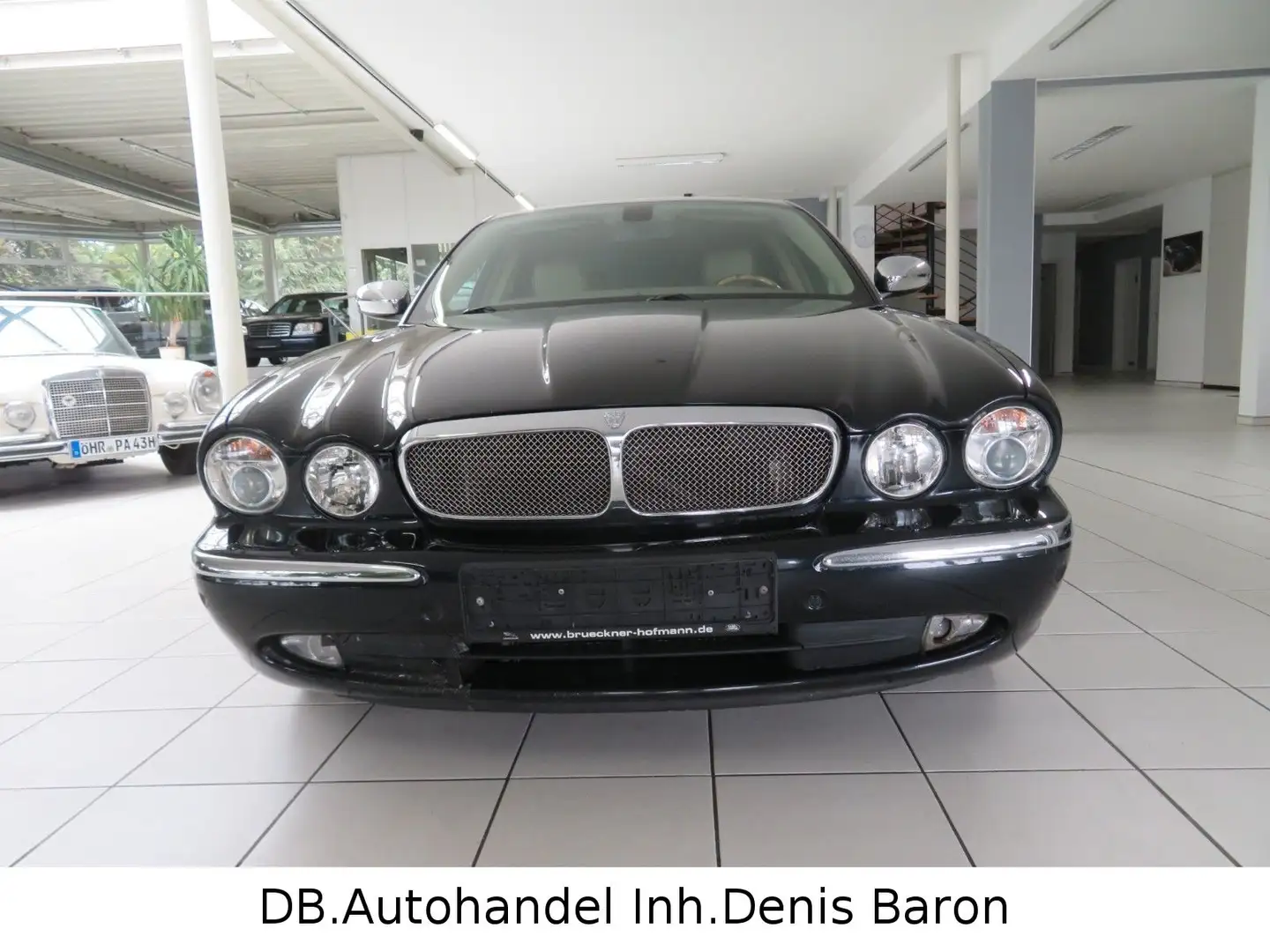 Jaguar XJ 6 D Executive Navi Leder Xenon SHZ PDC Grün - 2