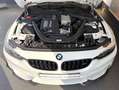 BMW M4 Cabrio DKG M COMPETITION HUD+HARM+adpLED+20* Bílá - thumbnail 14