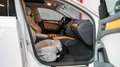 Audi A4 allroad A4 2.0TFSI | Allroad-Quattro| Navi| Pano | Xenon Weiß - thumbnail 11