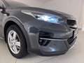 Kia XCeed XCEED/SILBER/1.0 TGDI/MT6/120 Grau - thumbnail 7