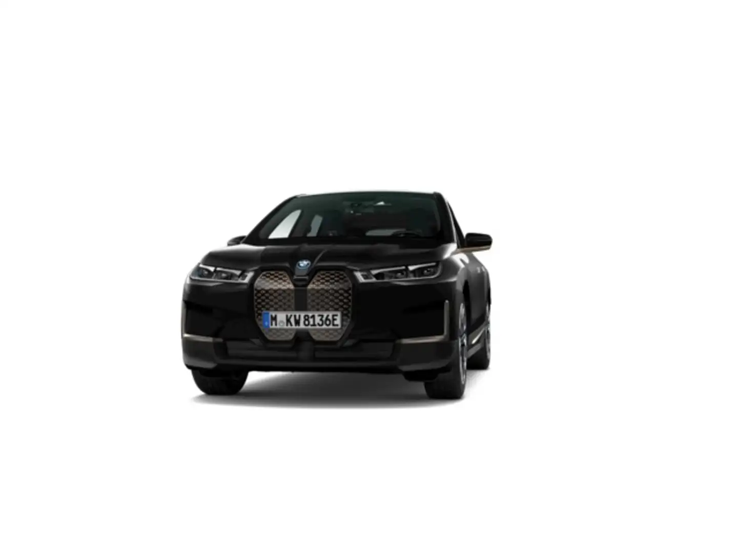 BMW iX xDrive 40 Negro - 1